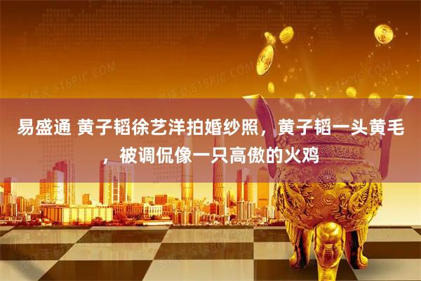 易盛通 黄子韬徐艺洋拍婚纱照,黄子韬一头黄毛,被调侃像一只高傲的火鸡