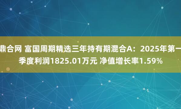 鼎合网 富国周期精选三年持有期混合A:2025年第一季度利润1825.01万元 净值增长率1.59%