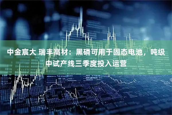 中金宸大 瑞丰高材:黑磷可用于固态电池,吨级中试产线三季度投入运营